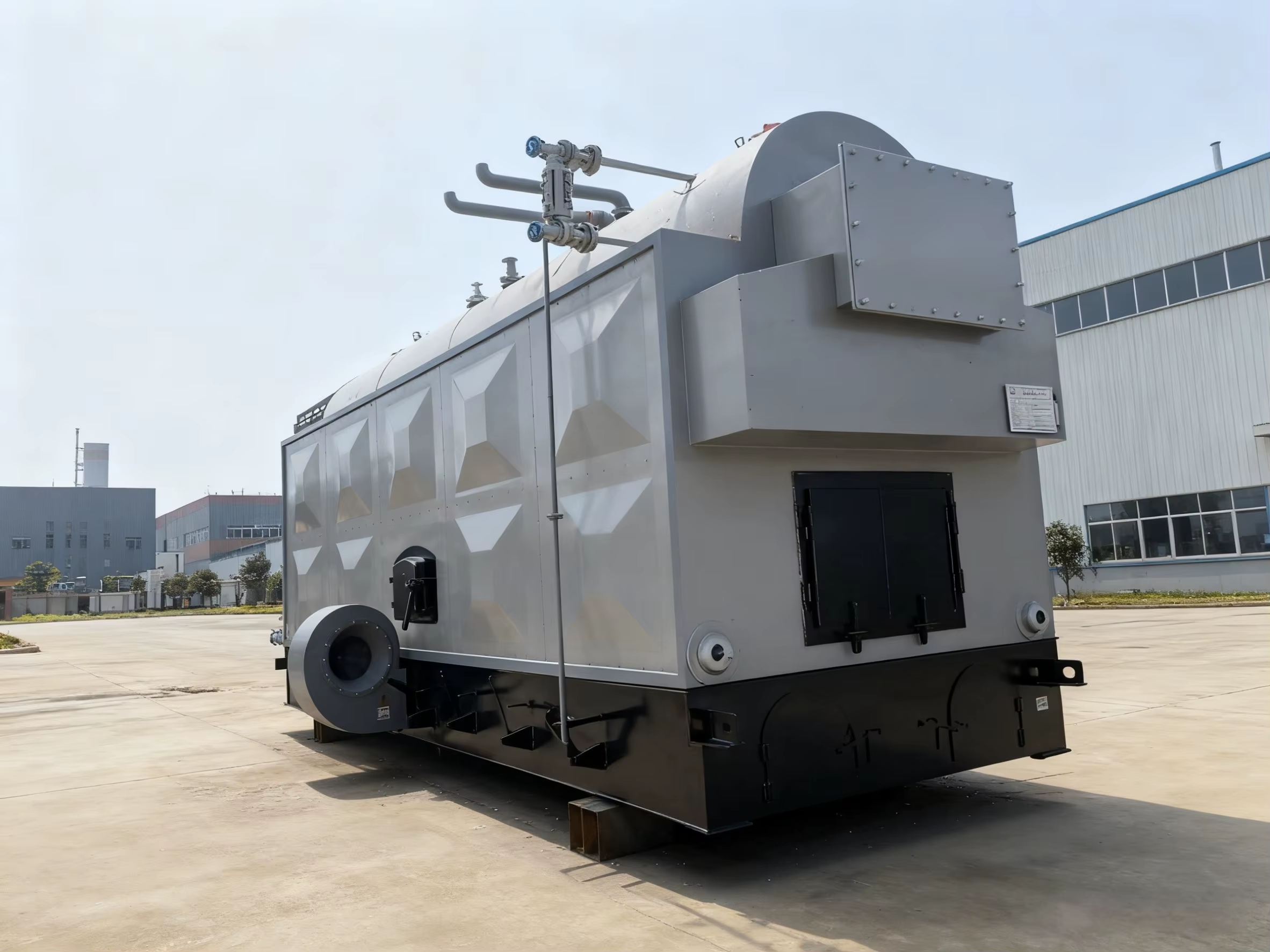 DZH Biomass Steam Boiler