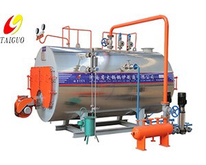 WNS Horizontal Oil-Fired Gas Hot Water Boiler