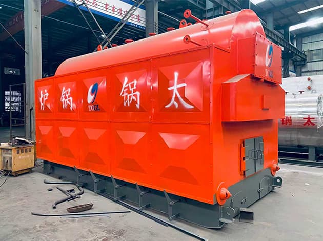 DZH Biomass Steam Boiler