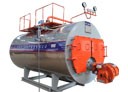 Gas & Oil Fired Boiler