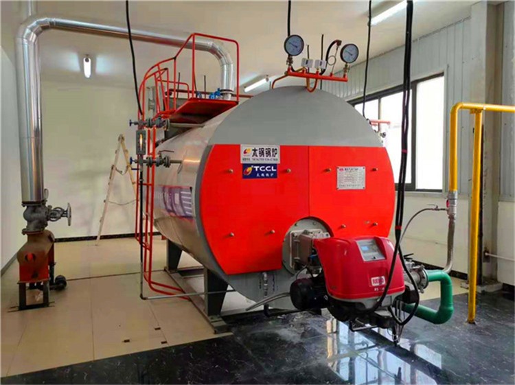 10 tons steam boiler for fruit and vegetable juice processing