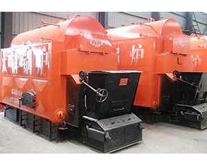 DZL Chain Grate Biomass Boiler