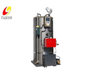 Small vertical gas oil steam generator