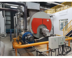 Wine industry use low Nox environmental steam boiler