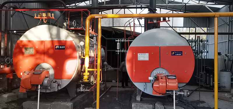 wns steam boiler for mushroom sterilization