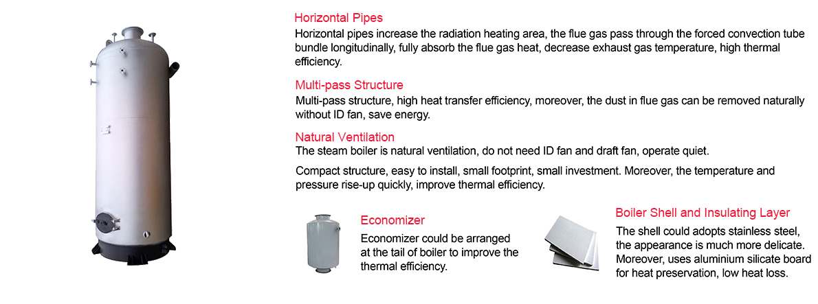 vertical biomass boiler system